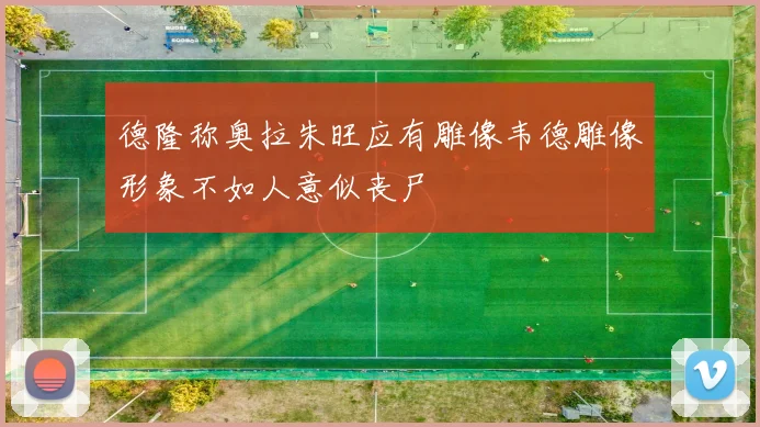 德隆称奥拉朱旺应有雕像韦德雕像形象不如人意似丧尸